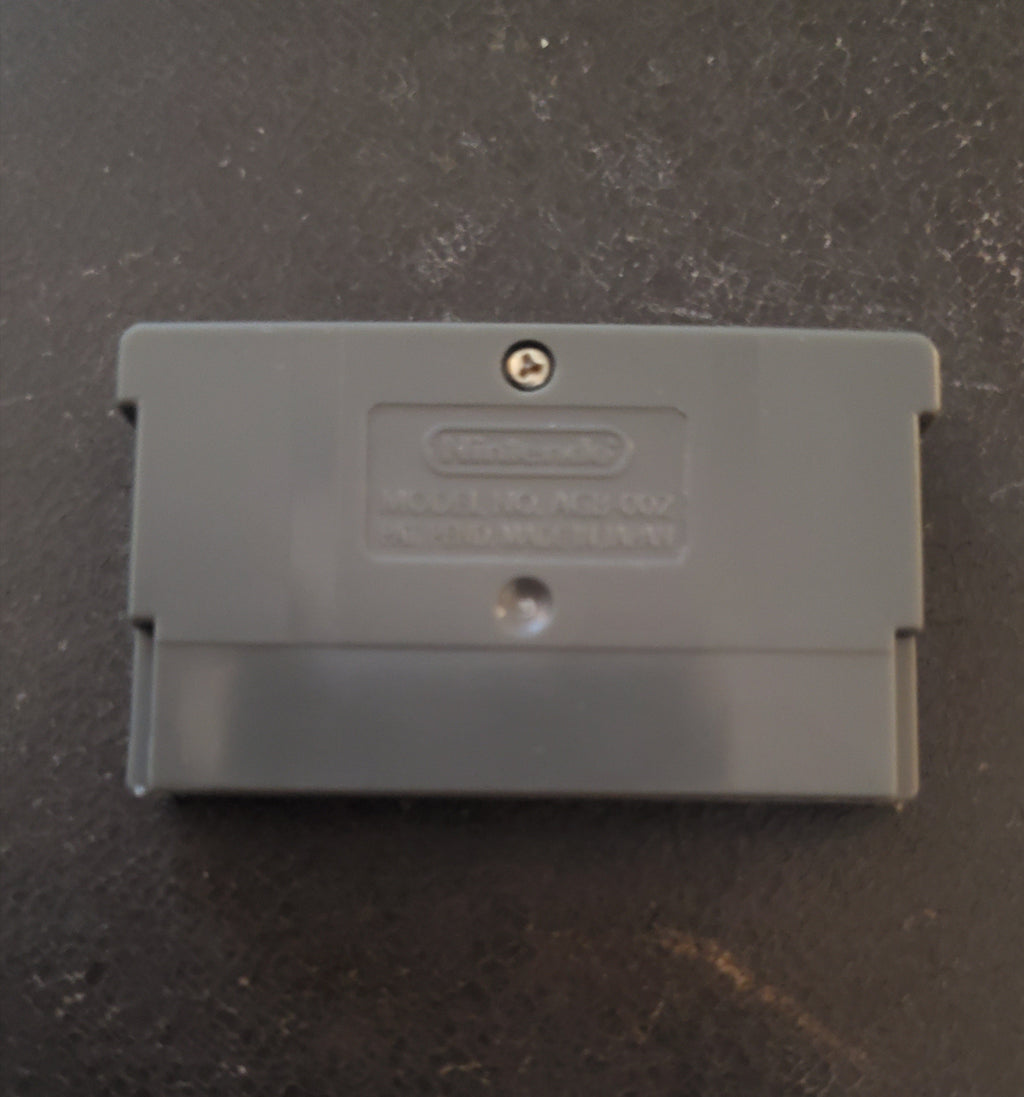 Pokemon Mystery Dungeon Red Rescue GBA ROM Hack Video Game Boy Advance