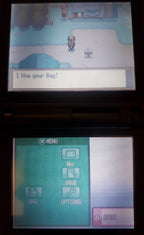 Pokemon Pure Heart Nintendo DS Custom ROM Hack Video Game Cartridge