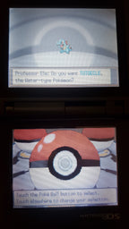 Pokemon True Soul Nintendo DS Custom ROM Hack Video Game Cartridge