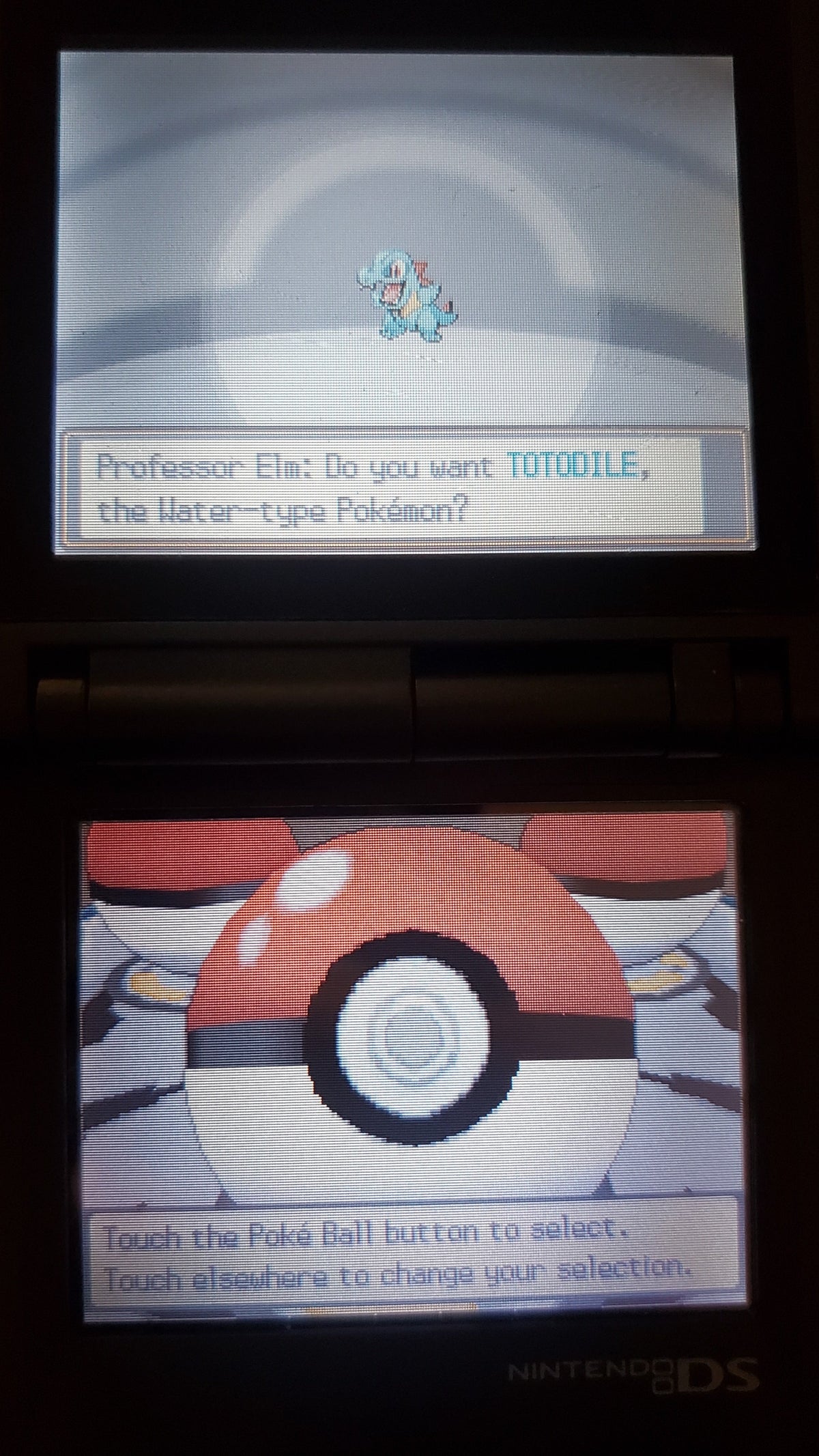 Pokemon True Soul Nintendo DS Custom ROM Hack Video Game Cartridge