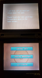 Pokemon GarbageGold Nintendo DS Custom ROM Hack Video Game Cartridge