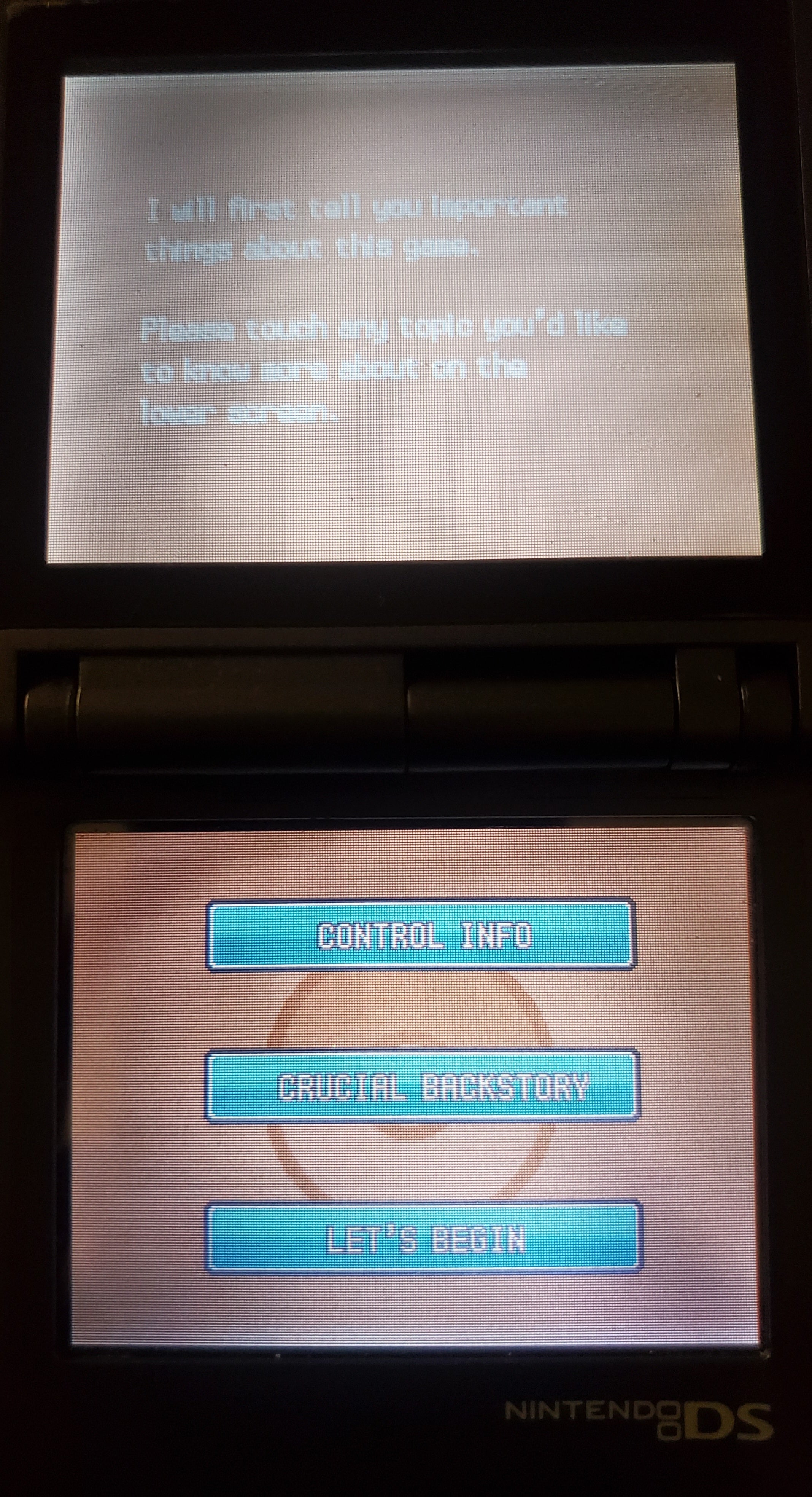 Pokemon GarbageGold Nintendo DS Custom ROM Hack Video Game Cartridge