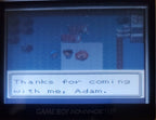 Pokemon Prism GBC ROM Hack Video Game Boy Color