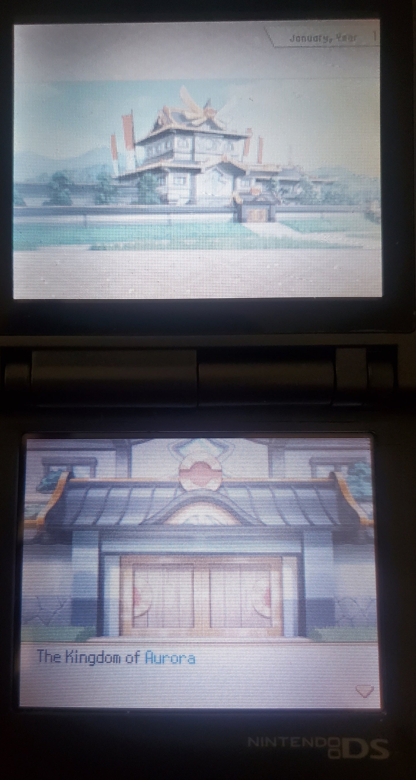 Pokemon Conquest Video Game Nintendo DS 2012