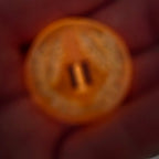 'In My Roman Era' Individual Roman Numeral Handmade Resin D2 Gaming TTRPG Chance Flip