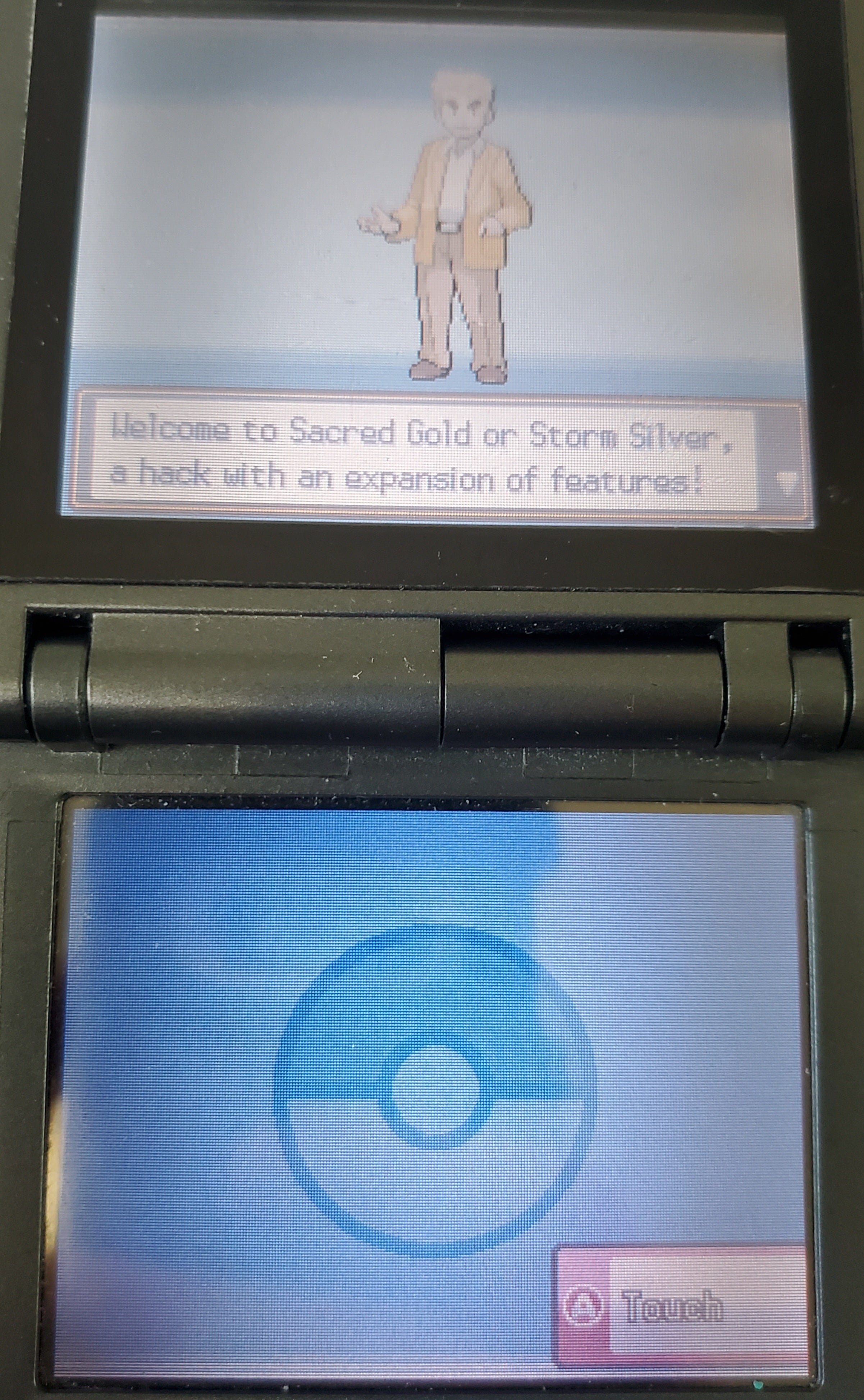Pokemon Storm Silver NDS Nintendo DS Custom ROM Hack Video Game