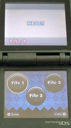 Newer Super Mario Bros DS V1.16 NDS Nintendo DS ROM Hack Video Game