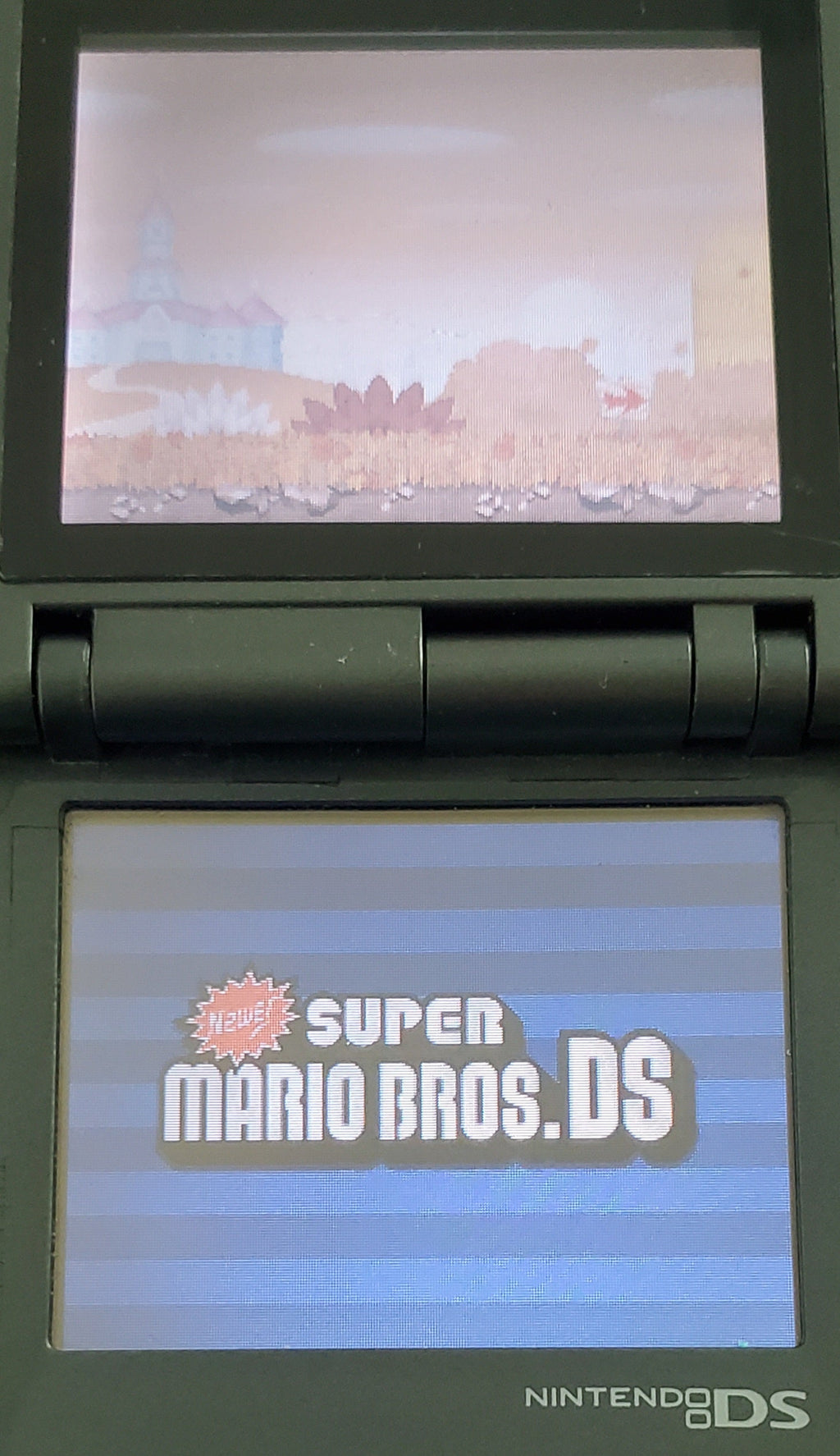 Newer Super Mario Bros DS V1.16 NDS Nintendo DS ROM Hack Video Game