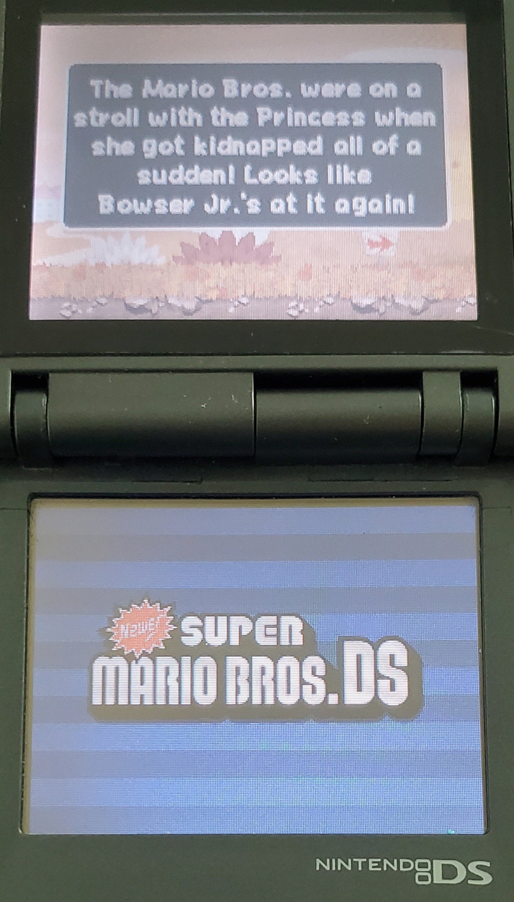 Newer Super Mario Bros DS V1.16 NDS Nintendo DS ROM Hack Video Game