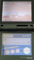 Newer Super Mario Bros DS V1.16 NDS Nintendo DS ROM Hack Video Game