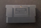 Pokemon SORS GBA Pokemon ROM Hack Video Game Boy Advance