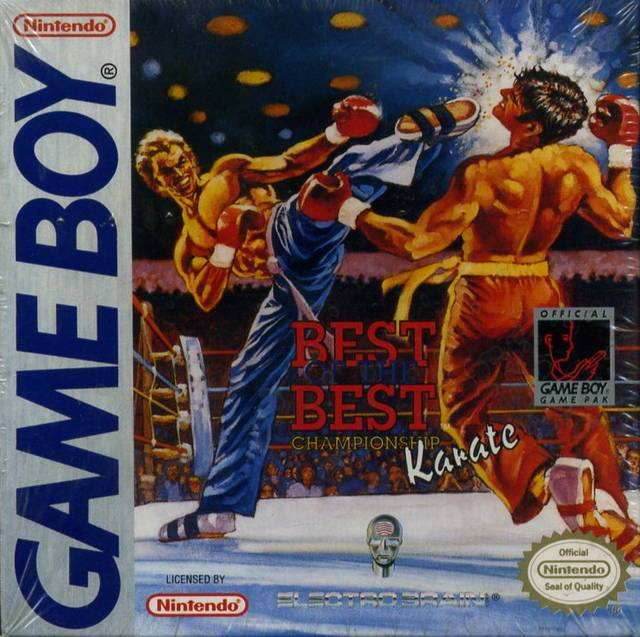 Best of the Best Championship Karate (Gameboy Color) - Game Manual Only
