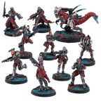 Next Wave Wholesale Army Bundle