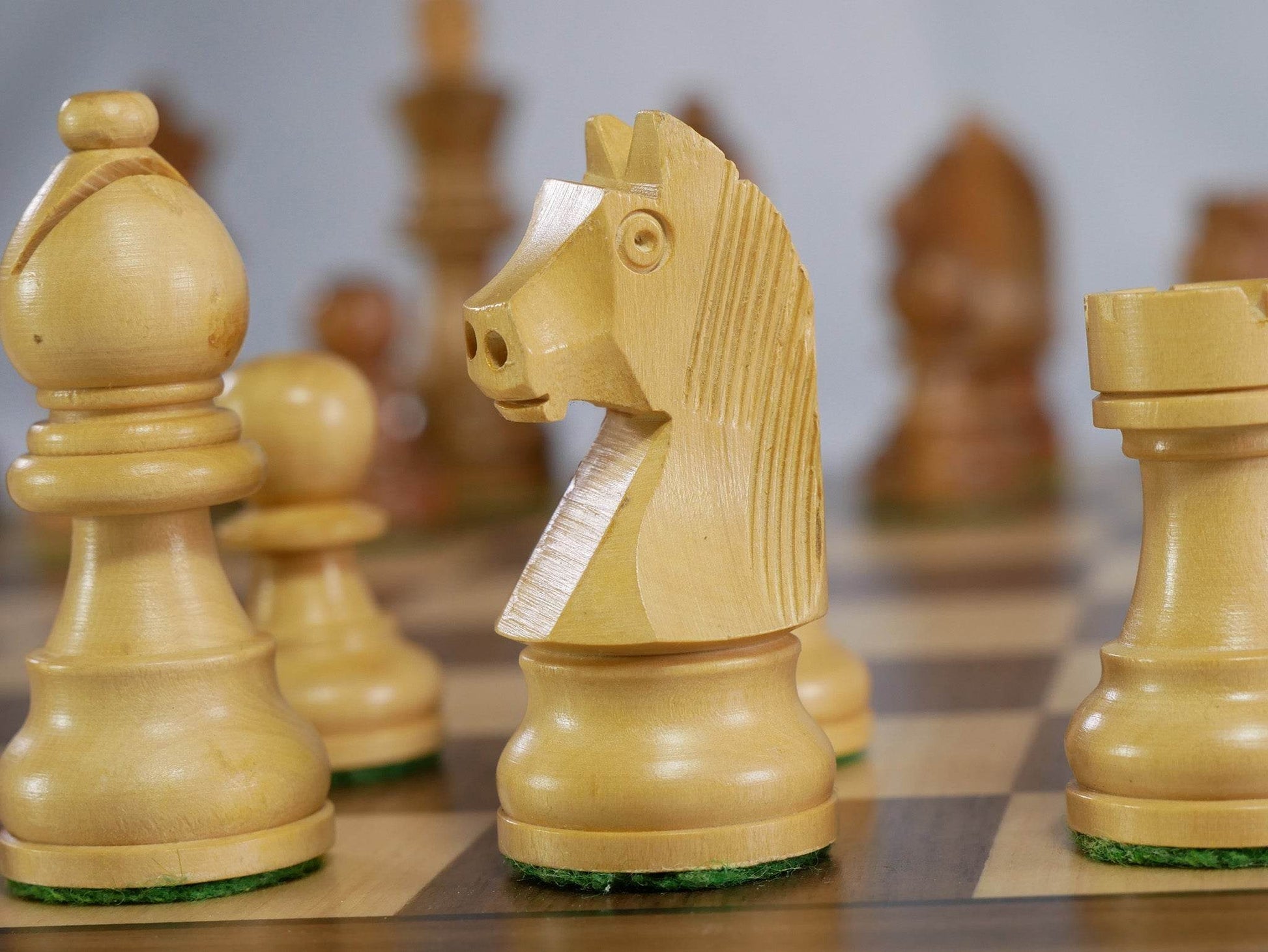 Chess Set - Sheesham/Boxwood German Knight on Walnut & Maple Veneer Board - 