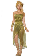 Gold Roman Toga Adult Costume Dress