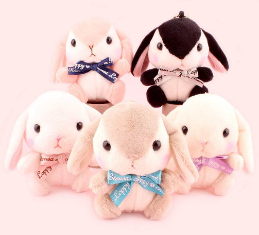 Amuse Poteusa Loppy Teddy Color Plush Doll - 