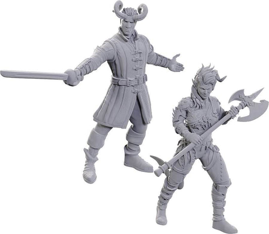 D&D: Nolzur's Marvelous Miniatures - Special Edition Baldur's Gate 3 - Wyll & Karlach - 