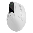 M2 Mouse