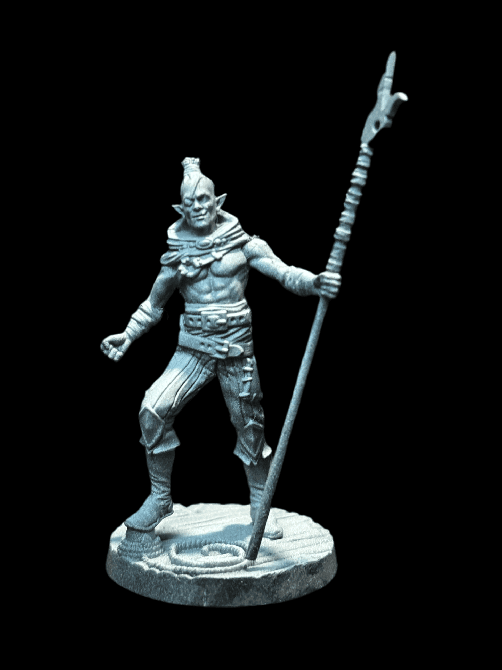 Elf Pirate - Spearman - 