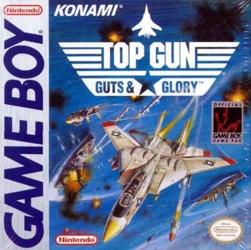 Top Gun: Guts to Glory (Gameboy Color) - Game Manual Only