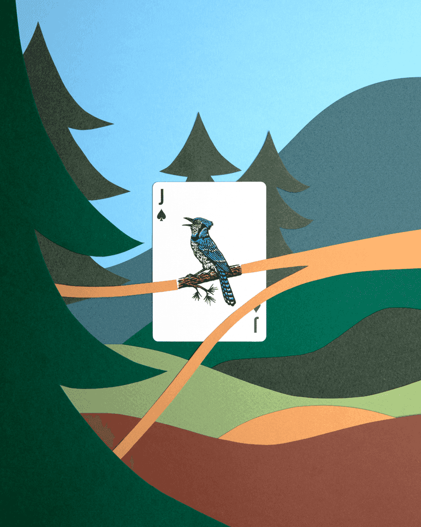 Smokey Bear Playing Cards - 
