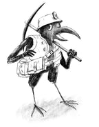 Beak, Feather, & Bone - Roleplaying Map-Labeling Game
