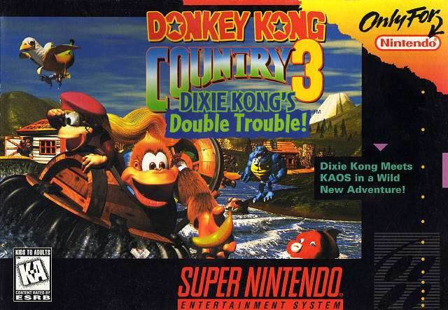 Donkey Kong Country 3: Dixie Kong's Double Trouble (Super Nintendo) - Game Manual Only