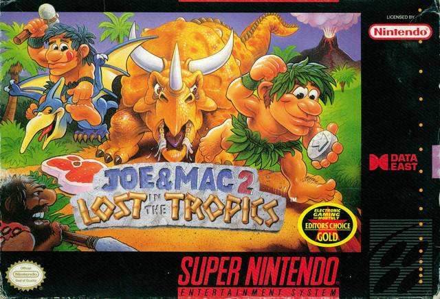 Joe and Mac 2: Lost in the Tropics (Super Nintendo) - Game Manual Only