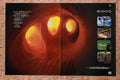 1998 Eidos N64 Games Original Ad v7