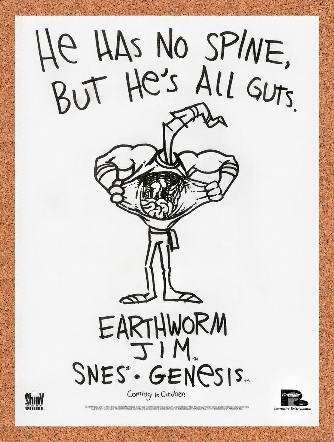 1994 Earthworm Jim Genesis Original Ad v11