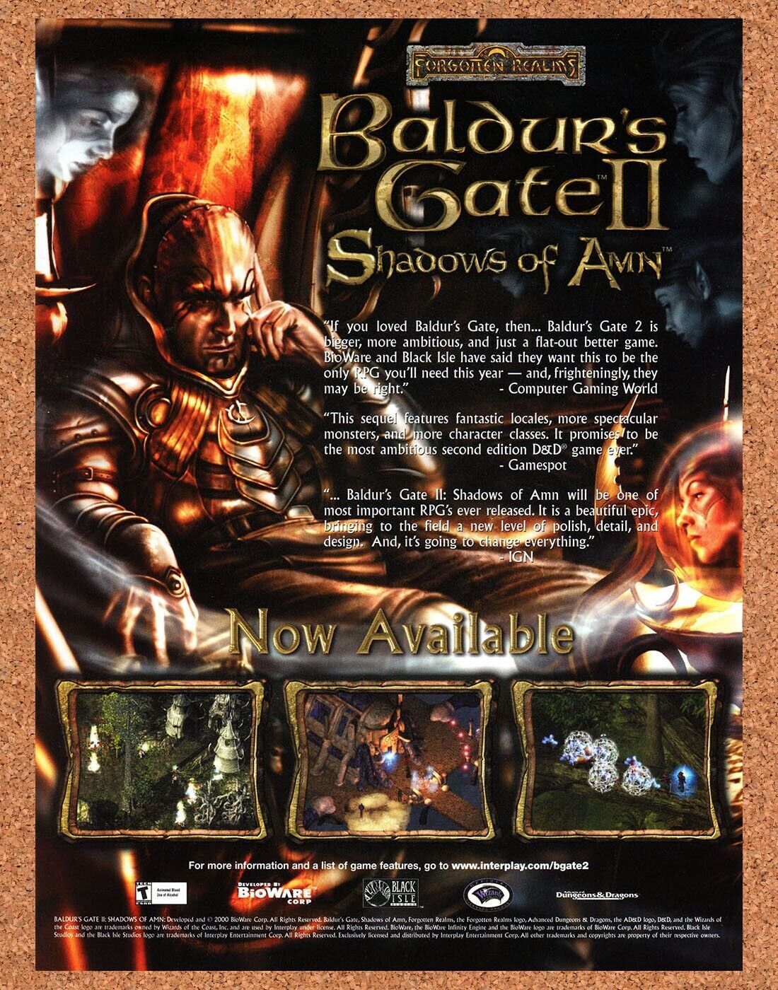 2001 Baldur's Gate II Shadows Of Amn PC Original Ad
