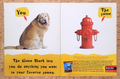 1996 GameShark Video Game Enhancer Original Ad v12