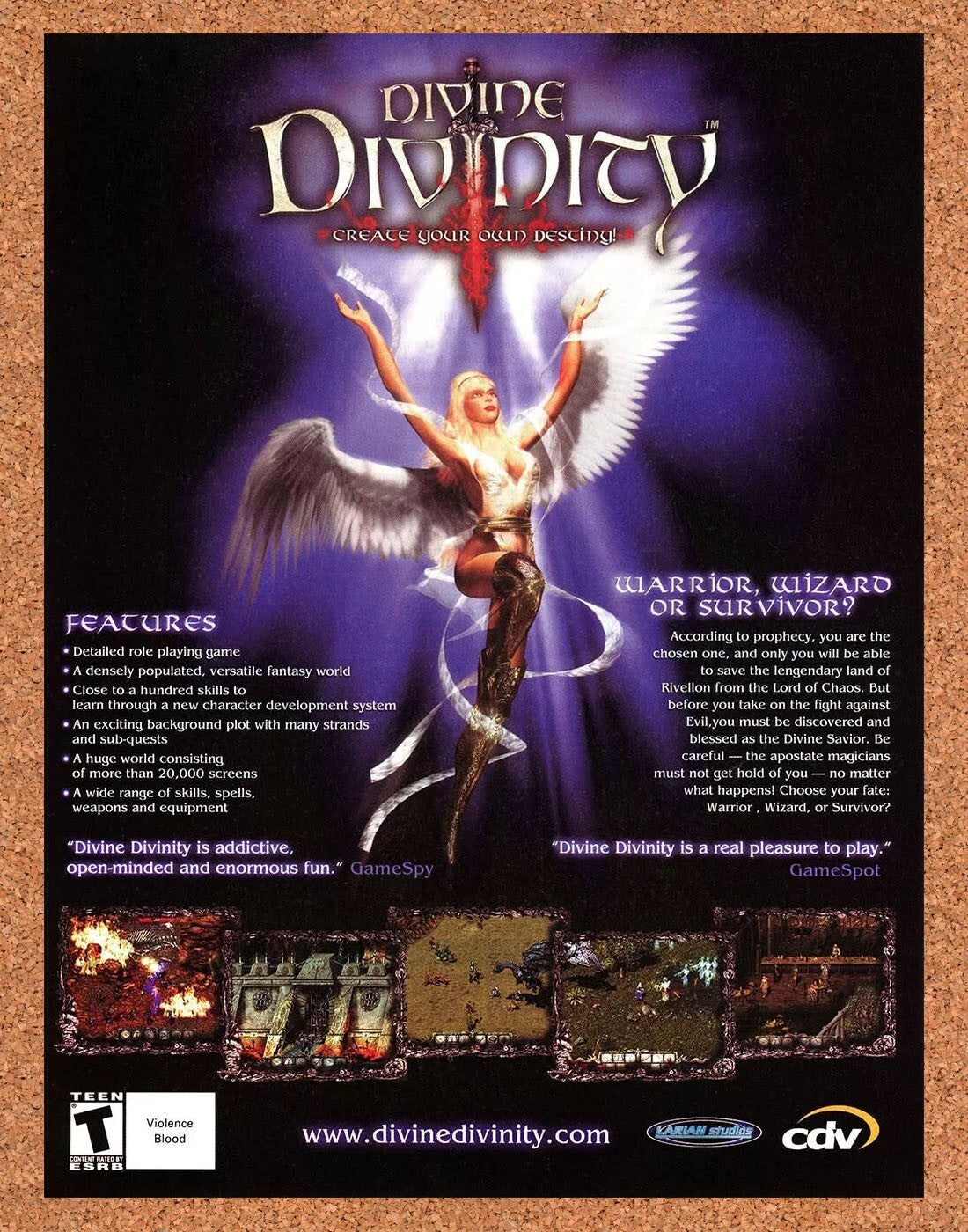 2003 Divine Divinity Create Your Own Destiny PC Original Ad v1