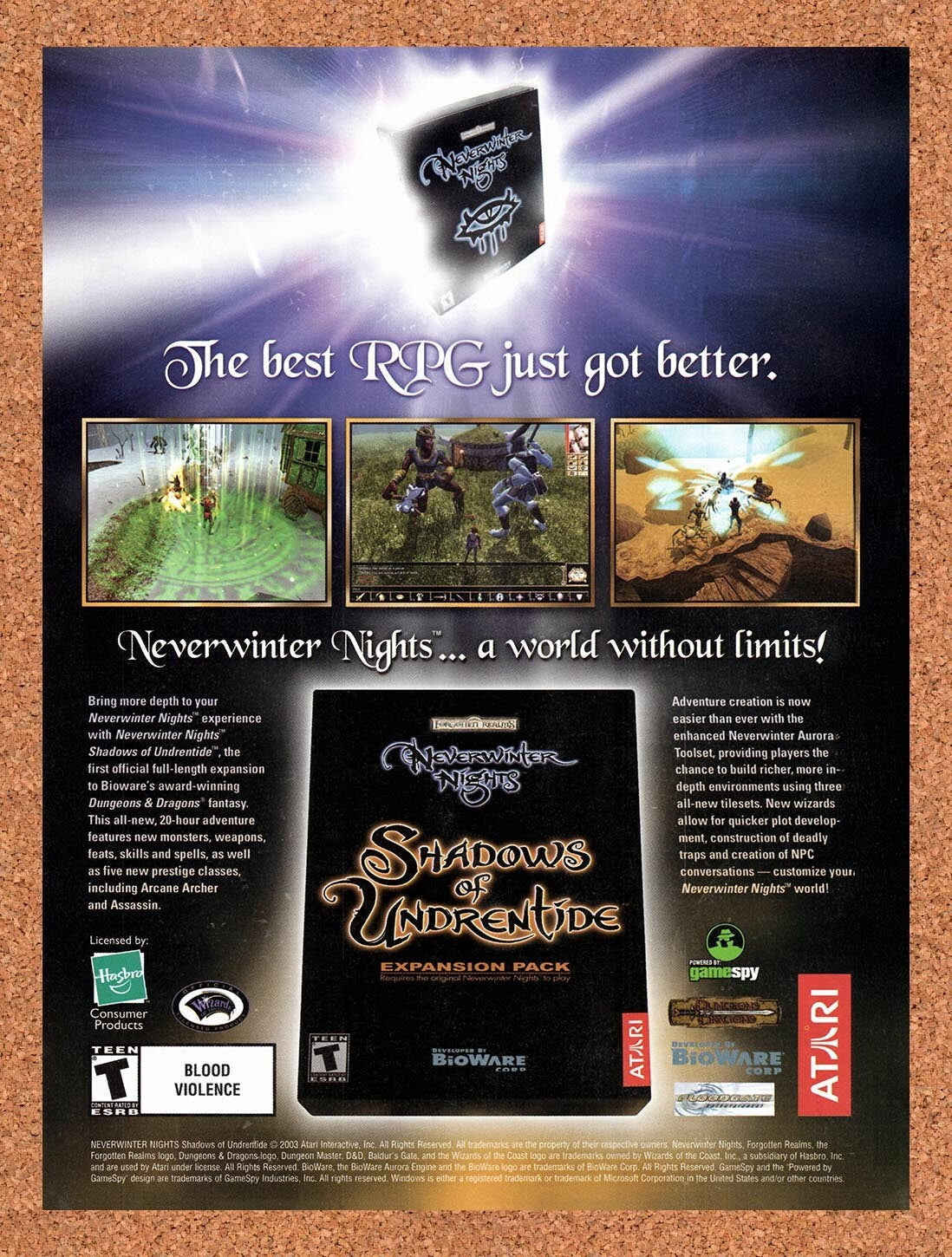 2003 Neverwinter Nights The Shadows Of Undrentide PC Original Ad v3
