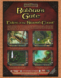 2001 Baldur's Gate Tales Of Sword Coast PC Original Ad
