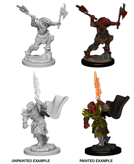 D&D: Nolzur's Marvelous Miniatures - Dragonborn Female Fighter - 