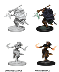 D&D: Nolzur's Marvelous Miniatures - Tiefling Female Warlock - 