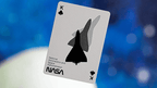 Official NASA Worm Playing Cards - 