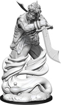 D&D: Nolzur's Marvelous Miniatures - Djinni - 