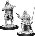 Pathfinder: Deep Cuts - Human Rogue Male - 