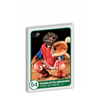 Team Bags Resealable Sleeves (100ct)