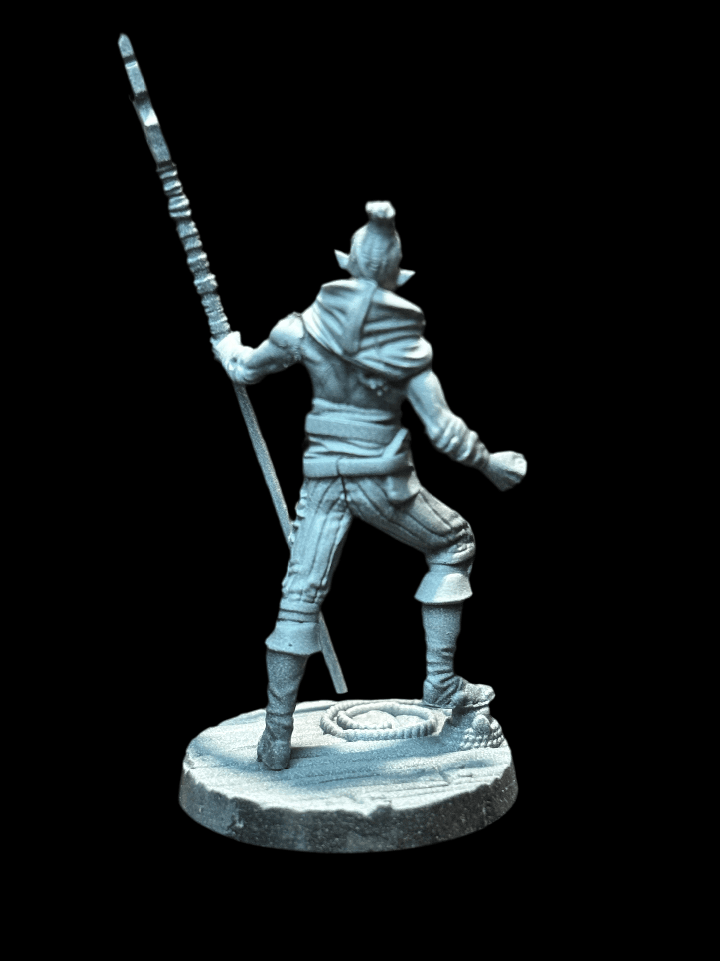 Elf Pirate - Spearman - 