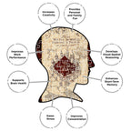 Aquarius Puzzles: Harry Potter Marauders Map - 