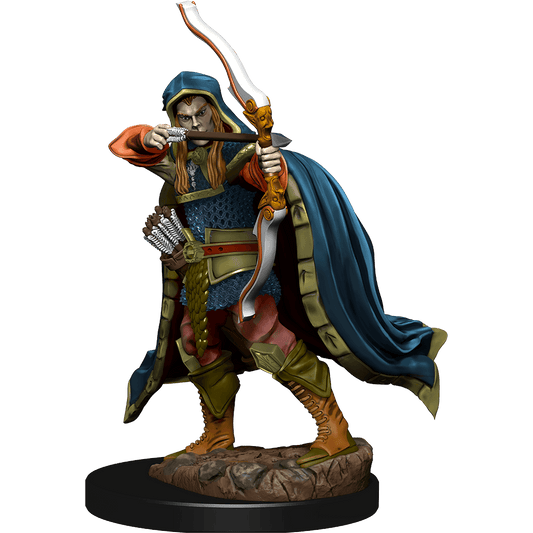 D&D: Icons of the Realms - Elf Rogue Male - 