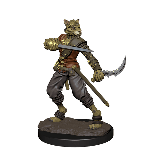 D&D: Icons of the Realms - Tabaxi Rogue Male - 