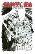 Teenage Mutant Ninja Turtles, Vol. 1: Return to New York—Inked Deluxe Edition