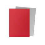 Dragon Shield: Crimson & Silver - Matte Dual Sleeves