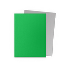 Dragon Shield: Apple Green & Silver - Matte Dual Sleeves