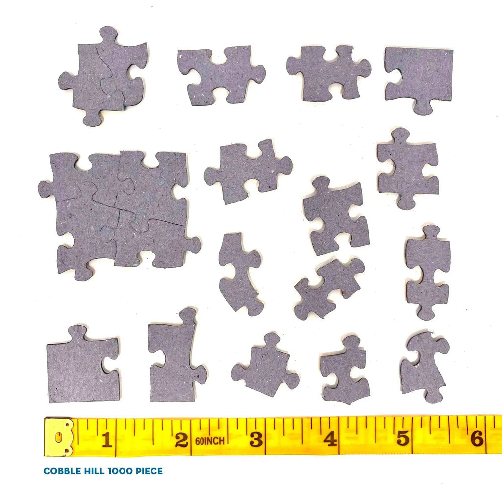Abby's Dragon 1000 Piece Jigsaw Puzzle Cobble Hill - 