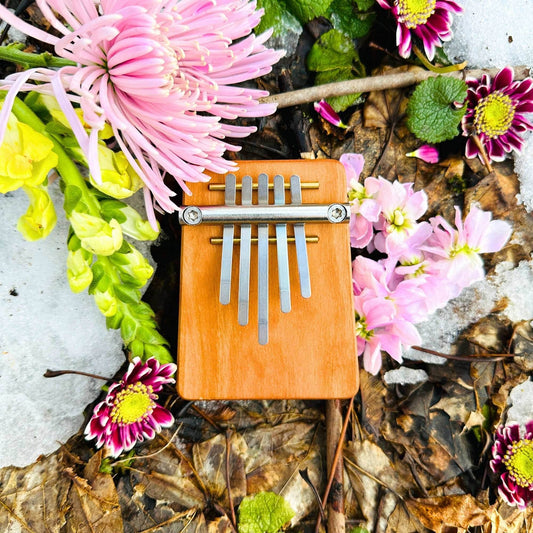 Hokema - B5 Kalimba - Pocket Kalimba - F